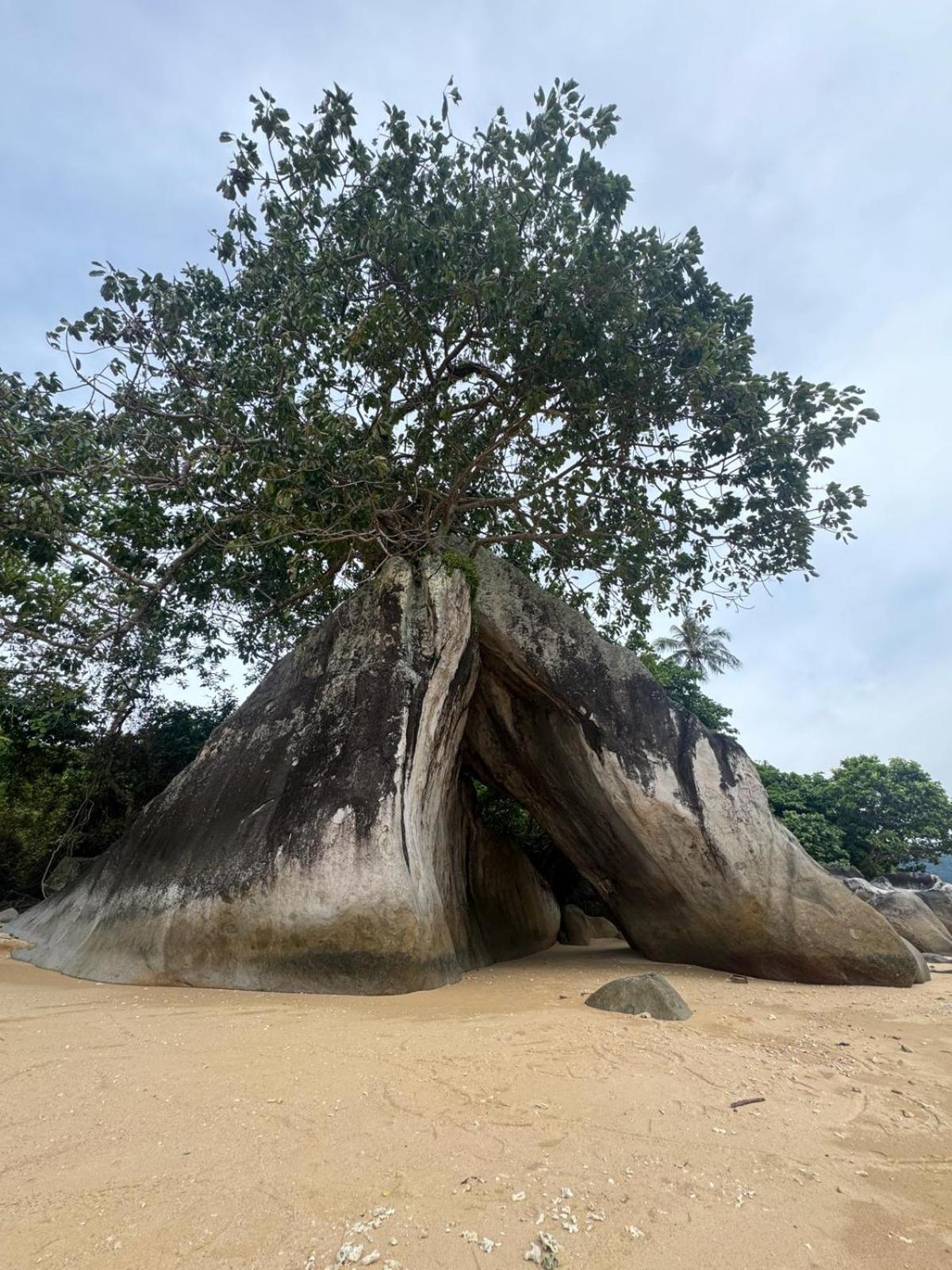 Home Away Tioman Island Kampung Genting Exterior foto